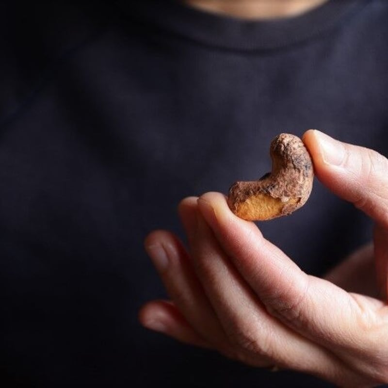 カンボジア産無農薬皮つきカシューナッツ (スモーク) | ろばの家 カンボジア産無農薬皮つきカシューナッツ (スモーク) | ろばの家