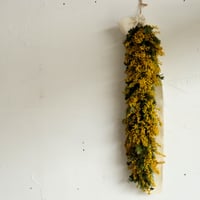 La Renonculeさん　ミモザのリース  (ロング)