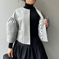 12-037     ライトグレーウール×ドット　ポケットＫＩＲＩ　フリー