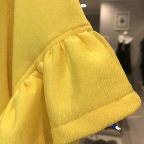 3−207  イエロー　パピヨントップス　ML