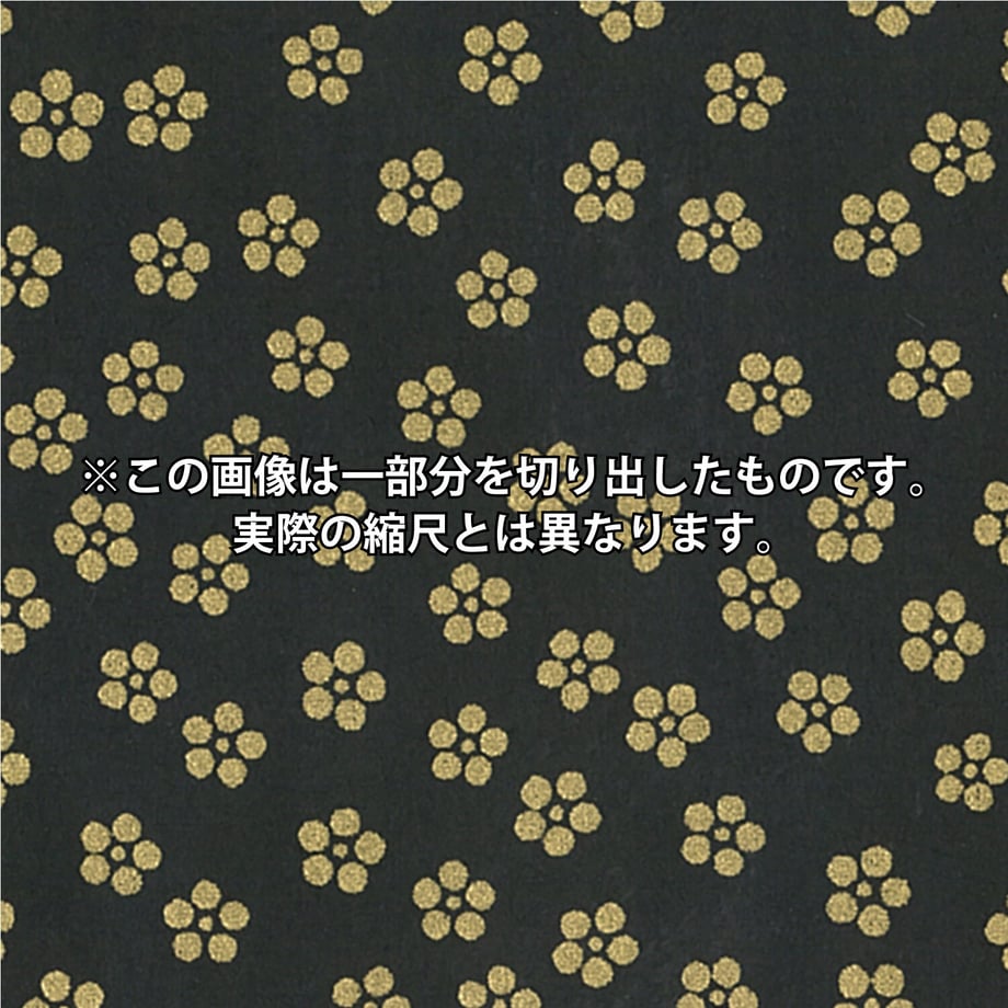 632c1604f0b1082a44e4d92a