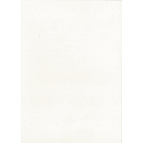 バナナペーパー OA用紙(20%) A4 5枚入 P0069