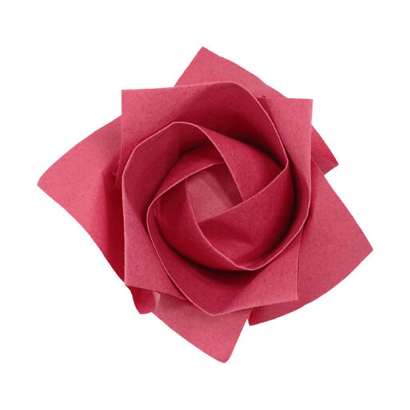 スペースダンディ ノラガミ 色紙 金色のコルダ スターライトオーケストラ - トレーディング