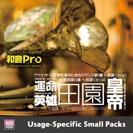 和音Pro-TXT（テキスト用）L/R/M
