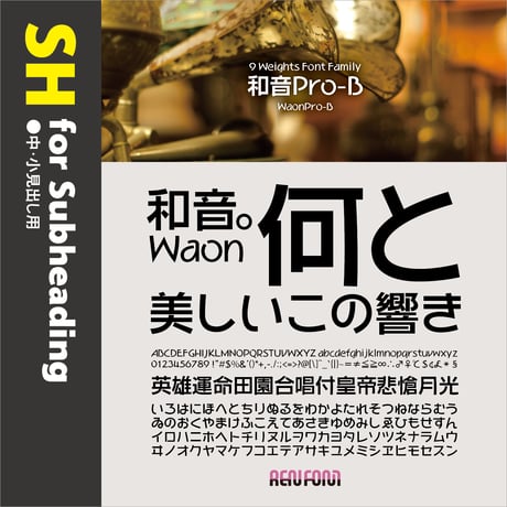 和音Pro-SH（中・小見出し用）DB/B/EB