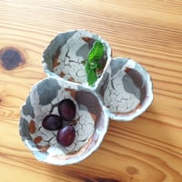 Roichi Hashiba _Delicacies plate