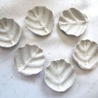 Ryoishic Hashiba _Small plates_ White leaf  (2 pcs set )