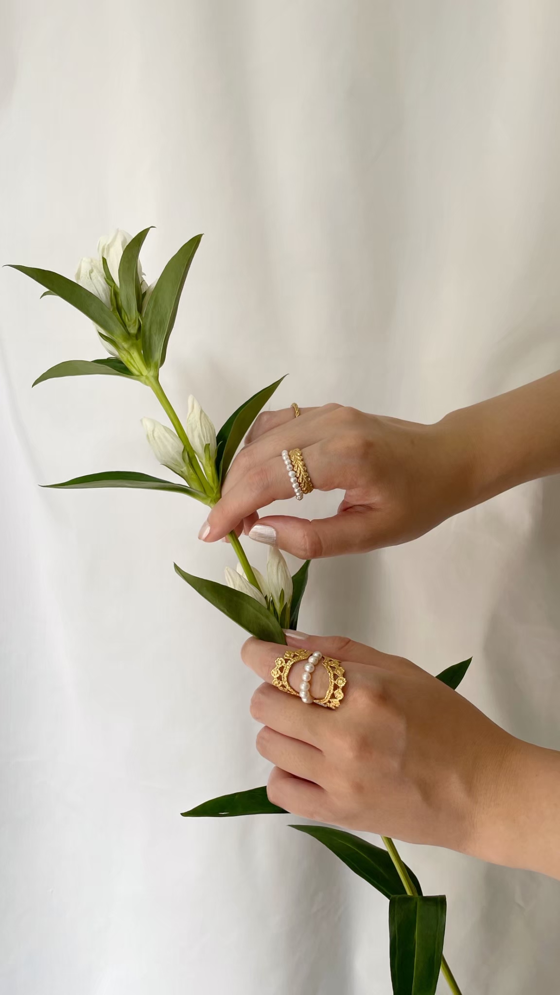 シンプルな装い ファッション lace dot ring 003 FLAVOUR シルバー