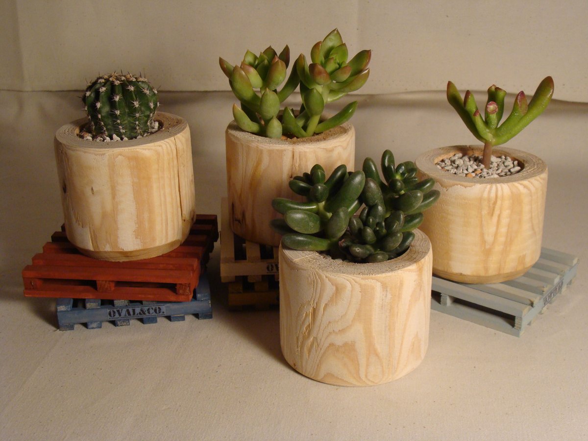 流木534 　流木のディスプレイ用サイドテーブル　多肉植物　　陶芸作品　観葉植物 fit=scale-down,w=1200