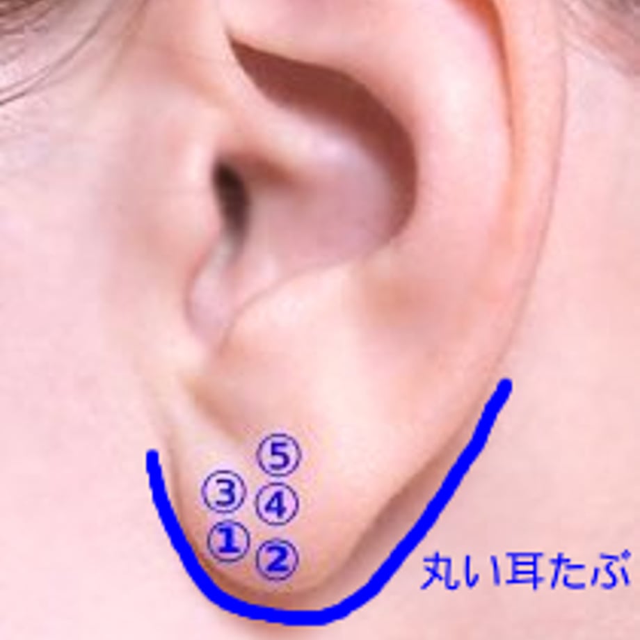 66c5d4f27041a10583fe3ba9