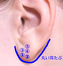 Bijou P -BM- M size 片耳売り | XSORI Bijou P -BM- M size 片耳売り | XSORI
