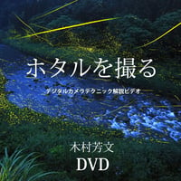 ホタルを撮る