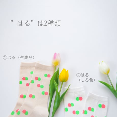 きせつの靴下（はる、なつ、あき、ふゆ）