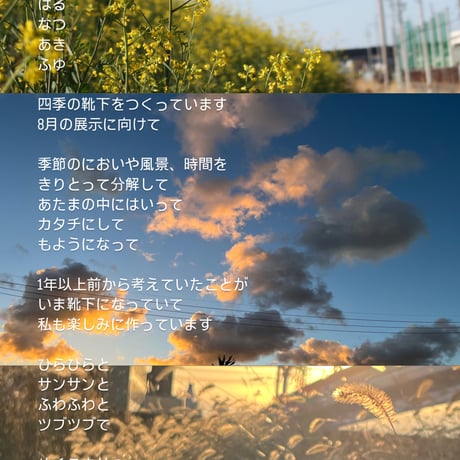 きせつの靴下（はる、なつ、あき、ふゆ）