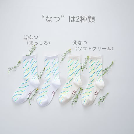 きせつの靴下（はる、なつ、あき、ふゆ）