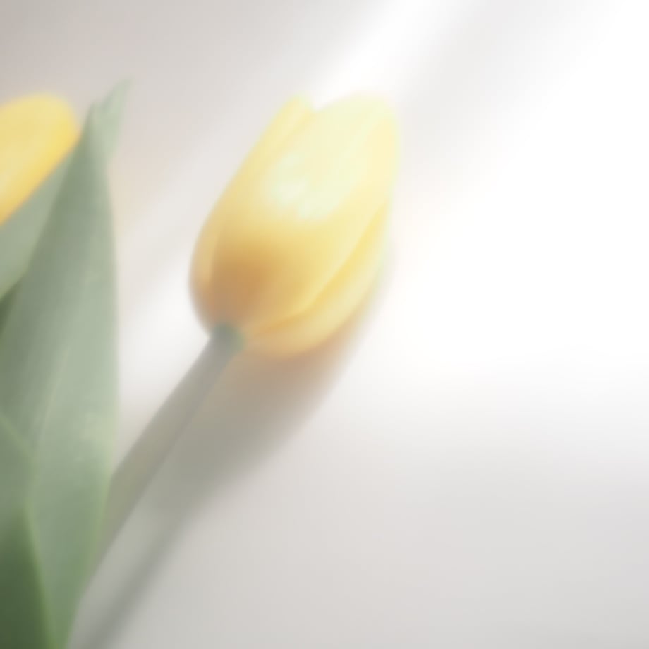 65e578181b359a0031233f93