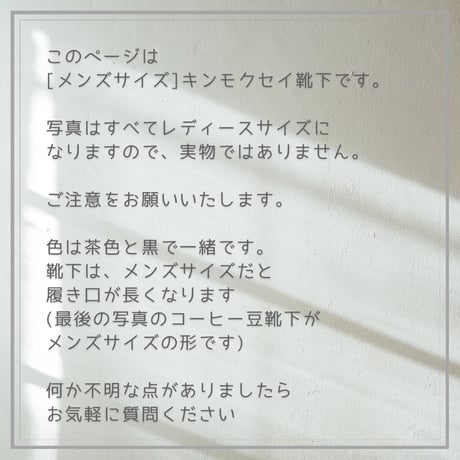予約販売【メンズサイズ】 キンモクセイ