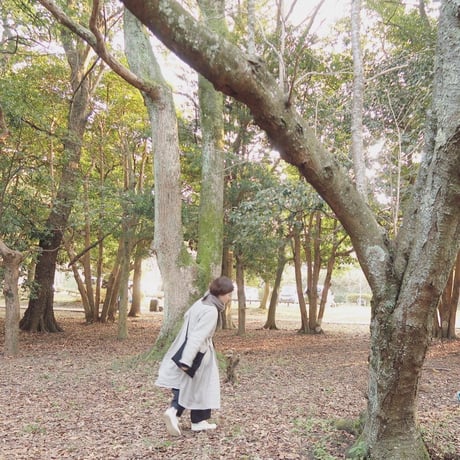 ［webよみもの］服と靴下のおはなし