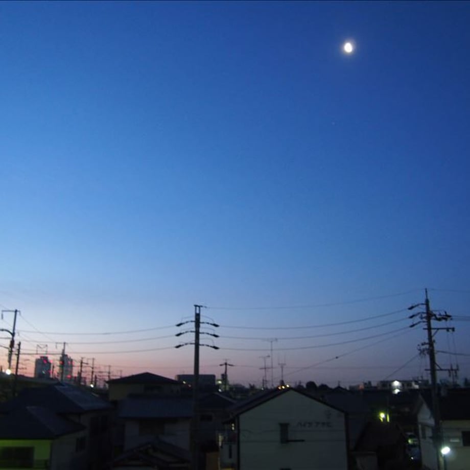 6508252d7cf6bd14bbec5262