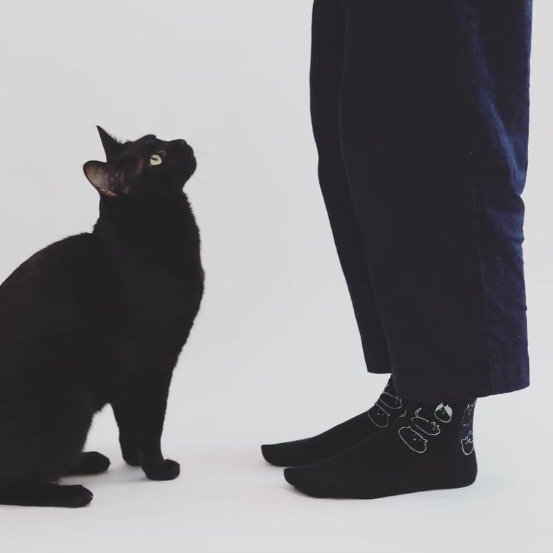 レノックス猫 (大きいサイズ) レノックス 24K 大きなサイズ ペルシャ猫 ジュエリー 陶器 置物