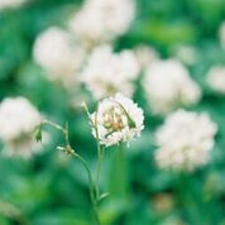 【web よみもの】kunkunの小さなセレクトショップはじめます。