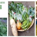 かえる農園