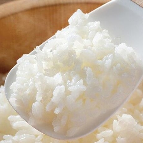 ご飯がつかないしゃもじ「宴」
