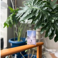 Horse County【Cassette】