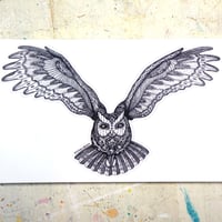 Flying Owl ステッカー