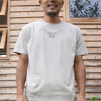 "  Flying Owl "　オーガニックコットンＴ / NT or MG
