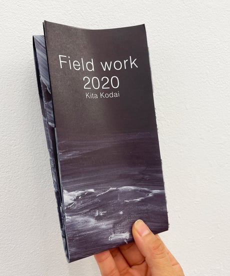 Field work 2020