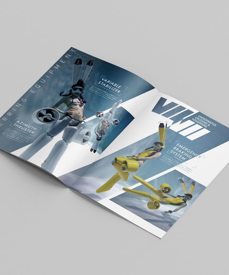 ViiVii / Brochure Aug 2077 | CGT ONLINE STORE