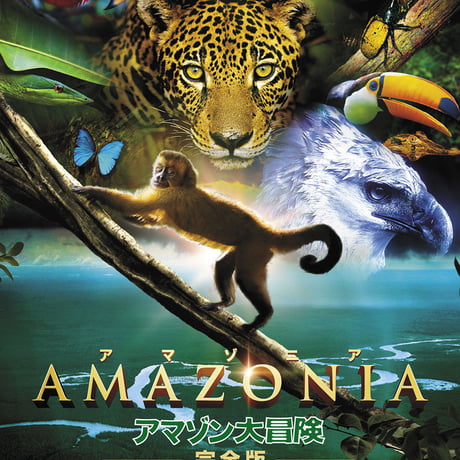 「AMAZONIA アマゾニア-アマゾン大冒険【完全版】- 」DVD