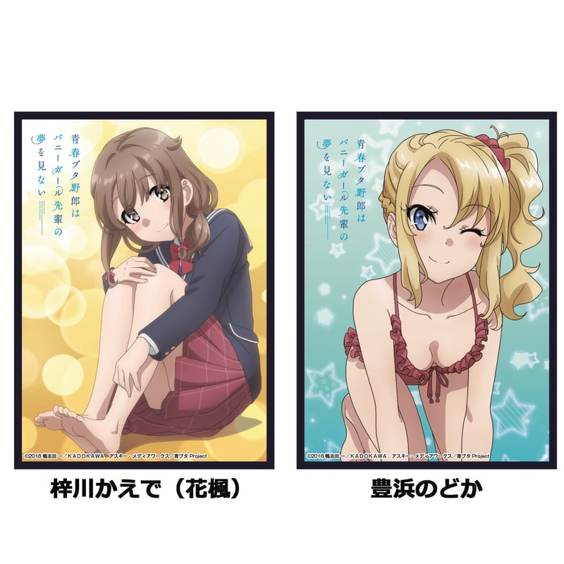 クロックワークス スリーブコレクションVol.30 青春ブタ野郎は