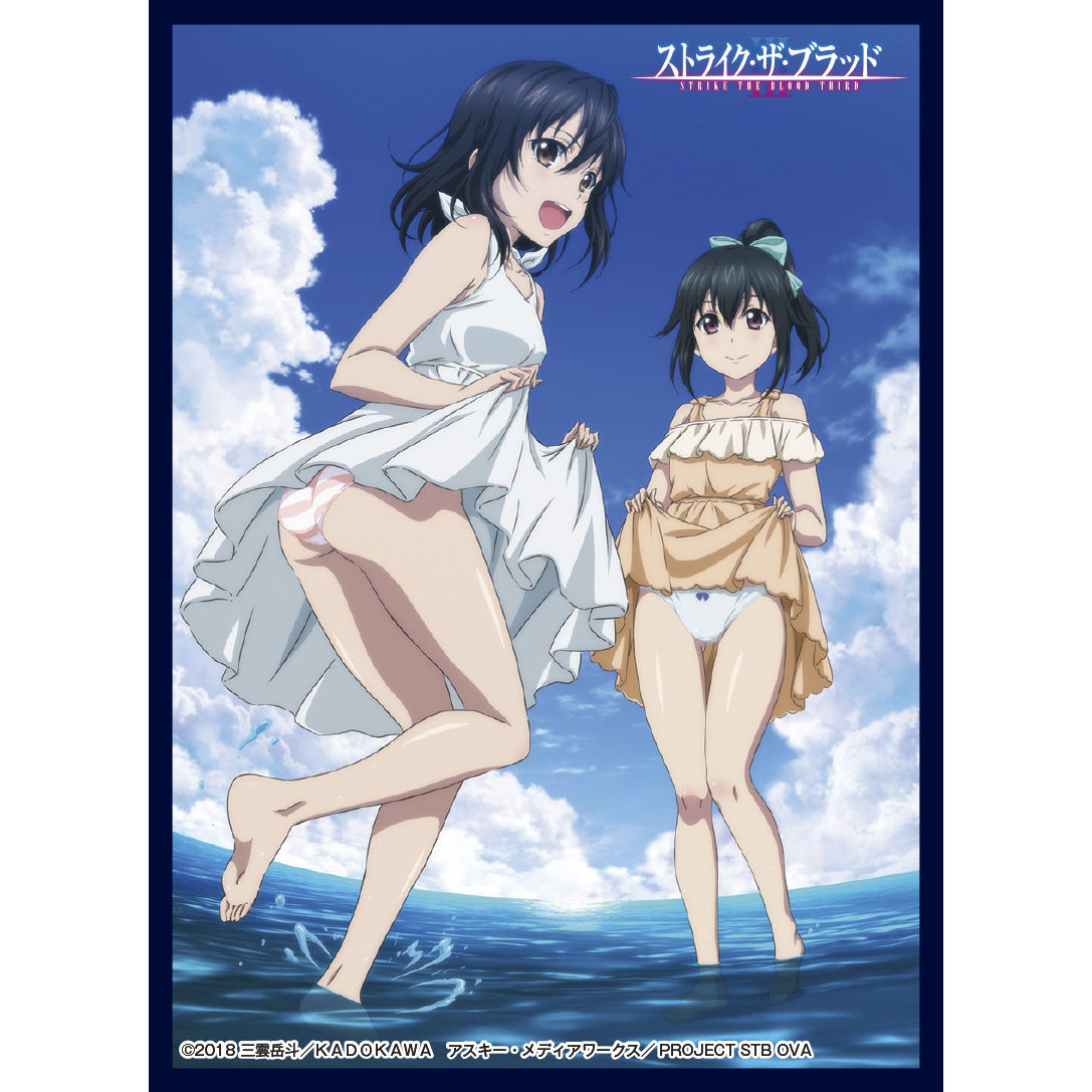 (未使用･未開封品)　クロックワークス スリーブコレクションvol.4 ストライク・ザ・ブラッド 姫柊 雪菜 bt0tq1u クロックワークス スリーブコレクションvol.4 ストライク・ザ