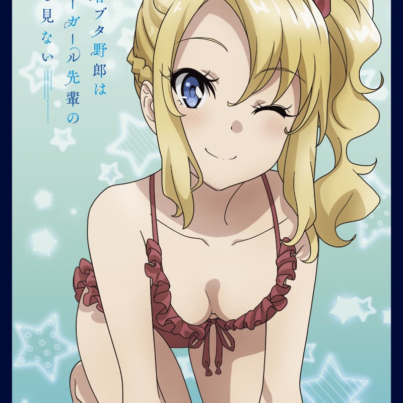 Amazon.co.jp: 青ブタ 桜島麻衣クロックワークス スリーブ : ホビー