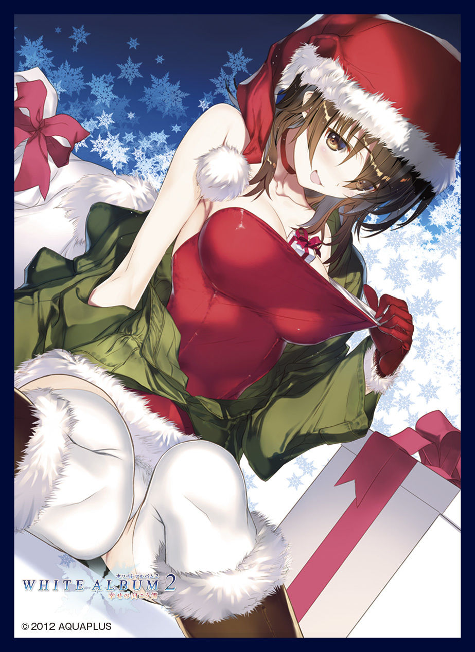 クロックワークス スリーブコレクションVol.25 WHITE ALBUM2 | koin