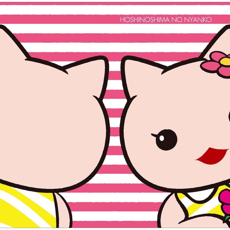 ほしの島のにゃんこ クリアファイルセット | koin