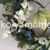 wako yamamoto