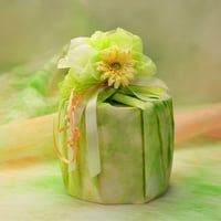 わっぱ詰め合わせ『春』