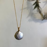 ◇  2011N