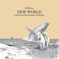 Return to Earth』アナログ盤 | FoZZtone Shop