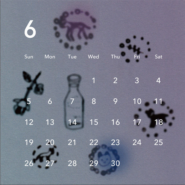 燐光 カトリックカレンダー写真集 一輪の花。 心に響く強さを持っている。