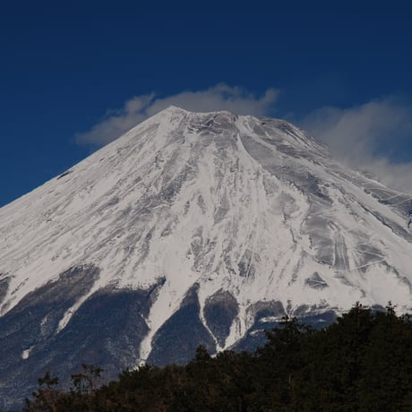 猛吹雪に負けずどっかり座る富士山写真