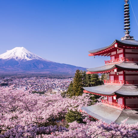 富士山と忠霊塔の桜