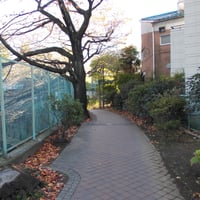 武蔵野の路石神井川コース　板橋区板橋4-44
