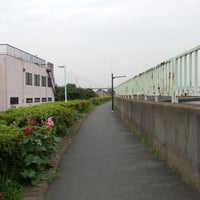 中川沿い　葛飾区西新小岩5-15