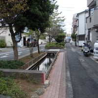 流堀親水はなのみち　江戸川区鹿骨1-50