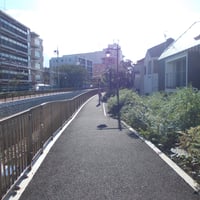 善福寺川沿い　淀塚橋際
