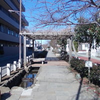 神領堀親水緑道